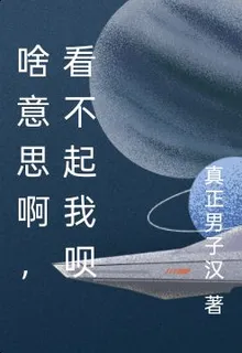 啥意思啊，看不起我唄 封面