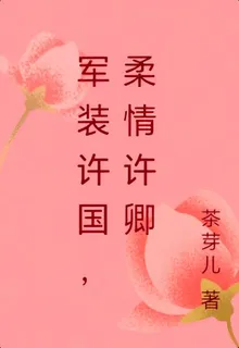 軍裝許國，柔情許卿 封面