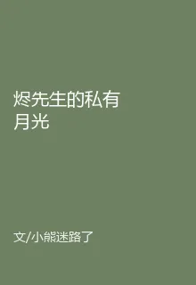 燼先生的私有月光 封面