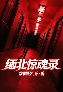 緬北驚魂錄 封面