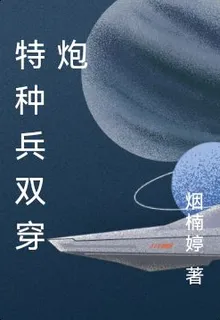 特種兵雙穿炮 封面