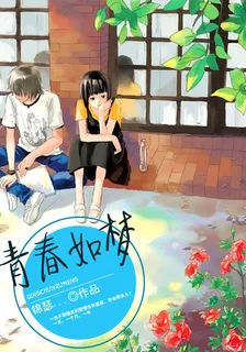 青春如夢 封面