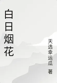 白日煙花 封面