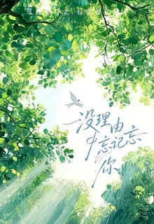 沒理由忘記你 封面