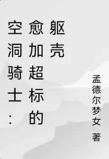 論兩隻小怪殺穿空洞騎士 封面