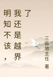 明知不該，我還是越界了 封面
