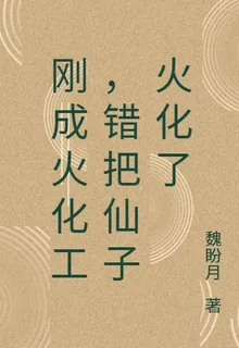 剛成火化工，錯把仙子火化了 封面