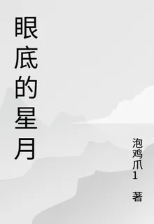 眼底的星月 封面