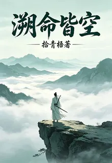 溯命皆空 封面