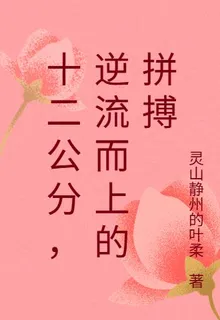 十二公分，逆流而上的拼搏 封面