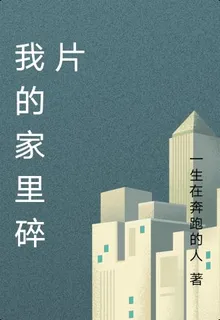 我的家裏碎片 封面