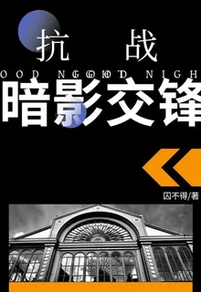 抗戰暗影交鋒 封面