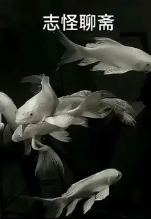 志怪聊齋 封面