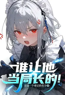 誰讓他當局長的！ 封面