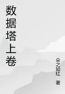 數據塔上卷 封面