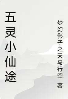 五靈小仙途 封面