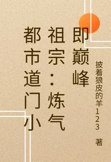 都市道門小祖宗：煉氣即巔峯 封面