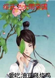 綜武之大明帝國 封面