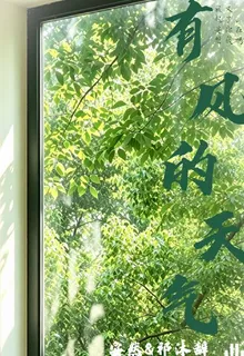 有風的天氣 封面