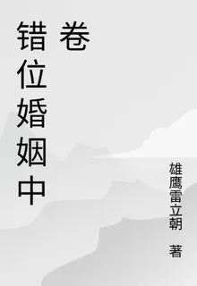 錯位婚姻中卷 封面