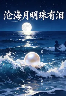 滄海月明珠有淚 封面