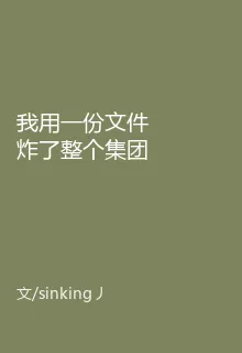 我用一份文件炸了整個集團 封面