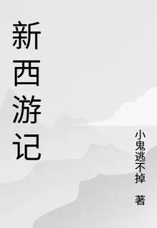 新新西遊記 封面