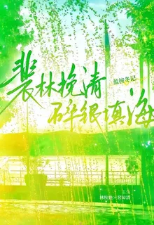 裴林挽清，碎銀瓊海 封面