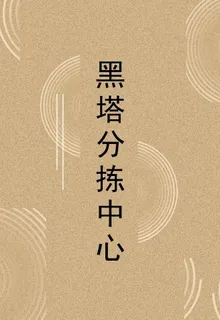 黑塔分揀中心 封面