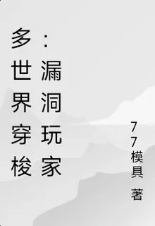 多世界穿梭：漏洞玩家 封面