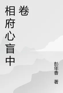 相府心盲中卷 封面