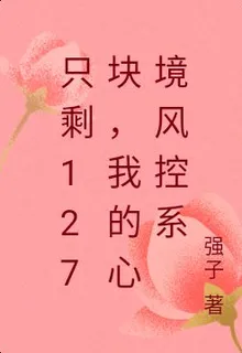 只剩127塊，我的心境風控系 封面