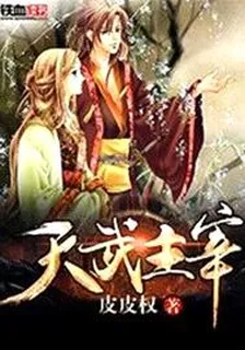 天武主宰 封面