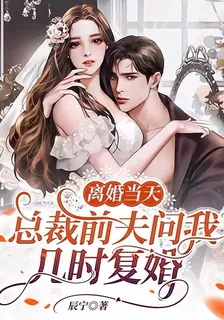 離婚當天，總裁前夫問我幾時復婚 封面