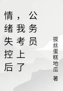 情緒失控後，我考上了公務員 封面