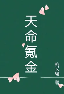 靈氣天命氪金 封面