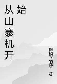 從山寨機開始 封面
