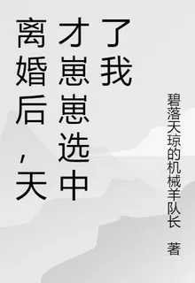 離婚後，天才崽崽選中了我 封面