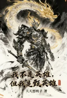 我不是英雄，但我是甄英雄 封面