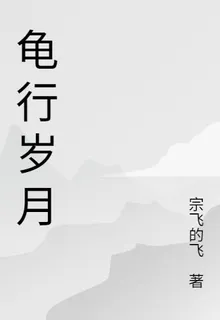 龜行歲月 封面