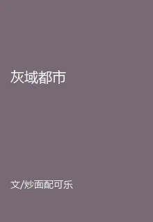 灰域都市 封面