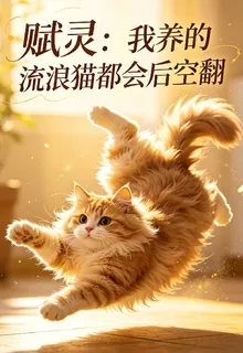 賦靈：我養的流浪貓都會後空翻 封面