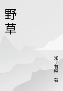 野草道 封面