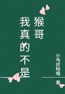 我真的不是猴哥 封面
