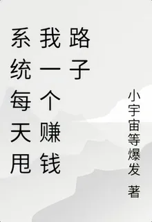 系統每天甩我一個賺錢路子 封面