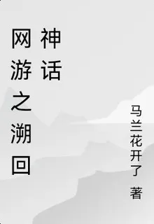 網遊之溯回神話 封面