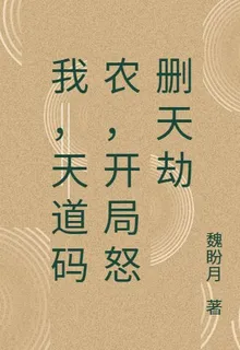 我，天道碼農，開局怒刪天劫 封面
