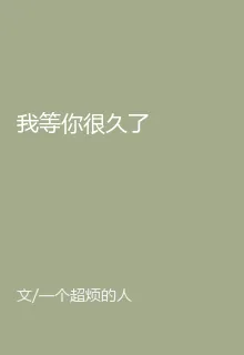 我等你很久了 封面