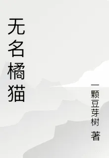 無名橘貓 封面