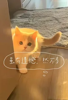 雖有遺憾，然不多 封面